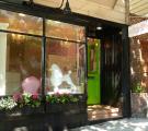 Russian Hill Dog Grooming
