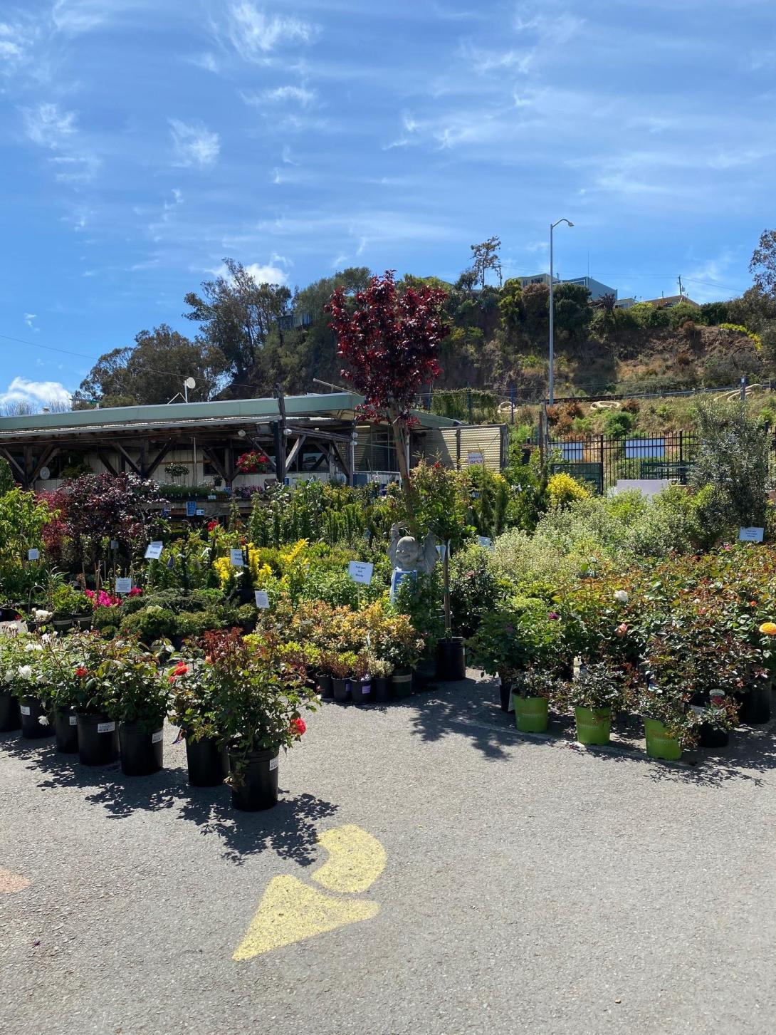 Flowercraft Garden Center